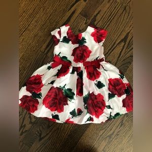 Toddler Rose Party Dress